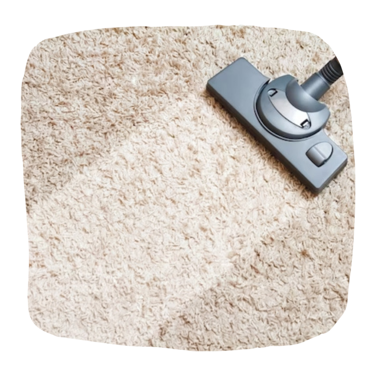 carpet-cleaning-2